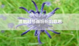 清明时节雨纷纷的意思