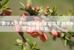 数字人民币可视硬钱包全国首发 适用多个消费场景