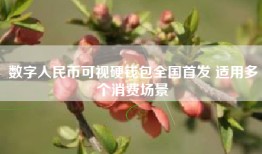 数字人民币可视硬钱包全国首发 适用多个消费场景