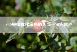 SEO黑帽优化常见的作弊手法有哪些
