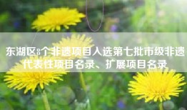 东湖区8个非遗项目入选第七批市级非遗代表性项目名录、扩展项目名录