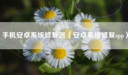 手机安卓系统修复器(安卓系统修复app)