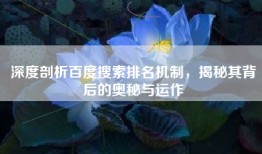 深度剖析百度搜索排名机制，揭秘其背后的奥秘与运作