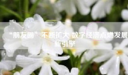 “朋友圈”不断扩大 数字经济点燃发展新引擎