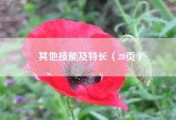 其他技能及特长（28页）