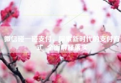 微信碰一碰支付，探索新时代的支付方式_全面解释落实