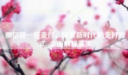 微信碰一碰支付，探索新时代的支付方式_全面解释落实