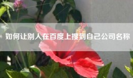 如何让别人在百度上搜到自己公司名称
