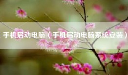 手机启动电脑（手机启动电脑系统安装）