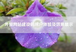 外贸网站建设的用户体验及效果展示