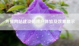 外贸网站建设的用户体验及效果展示