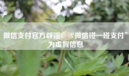 微信支付官方辟谣：“微信碰一碰支付”为虚假信息