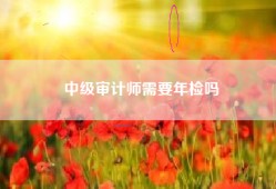 中级审计师需要年检吗