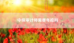 中级审计师需要年检吗