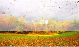 Nginx总结