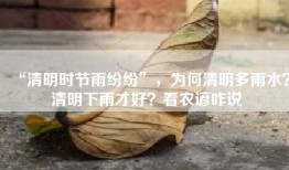 “清明时节雨纷纷”，为何清明多雨水？清明下雨才好？看农谚咋说