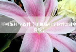 手机练打字软件（手机练打字软件26键免费版）