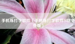手机练打字软件（手机练打字软件26键免费版）