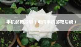 手机邮箱后缀（电信手机邮箱后缀）