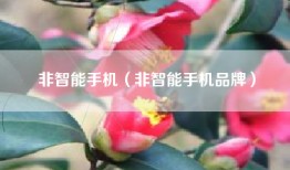 非智能手机（非智能手机品牌）