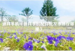 迪拜手机（迪拜手机配件批发市场在哪里）