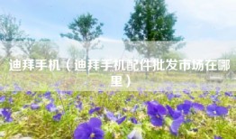 迪拜手机（迪拜手机配件批发市场在哪里）