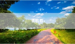 手机看a