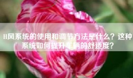 H风系统的使用和调节方法是什么？这种系统如何提升车辆的舒适度？