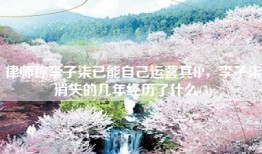 律师称李子柒已能自己运营其IP，李子柒消失的几年经历了什么(5)