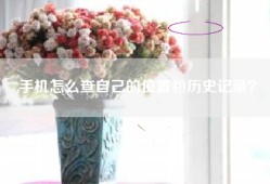 手机怎么查自己的位置和历史记录？