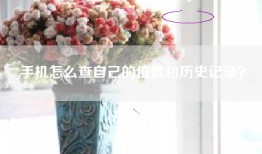 手机怎么查自己的位置和历史记录？