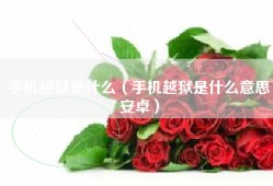手机越狱是什么（手机越狱是什么意思安卓）