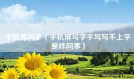 手机屏写字（手机屏写字手写写不上字是咋回事）