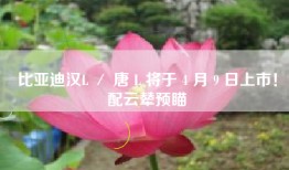 比亚迪汉L ／ 唐 L 将于 4 月 9 日上市！配云辇预瞄