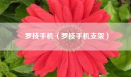 罗技手机（罗技手机支架）