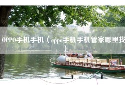 OPPO手机手机（oppo手机手机管家哪里找）