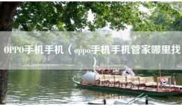OPPO手机手机（oppo手机手机管家哪里找）