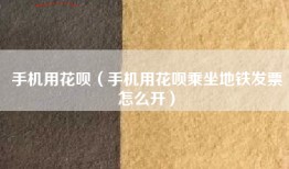 手机用花呗（手机用花呗乘坐地铁发票怎么开）