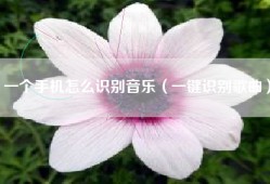 一个手机怎么识别音乐（一键识别歌曲）