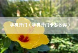 手机开门（手机开门卡怎么弄）