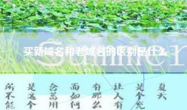 买新域名和老域名的区别是什么
