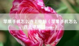 苹果手机怎么连上电脑（苹果手机怎么连上电脑的itunes）