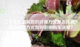 二手车分期利息的计算方式是怎样的？这种计算方式如何影响购车决策？