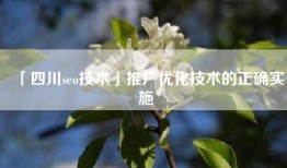 「四川seo技术」推广优化技术的正确实施