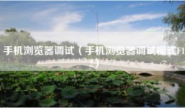 手机浏览器调试（手机浏览器调试模式F12）