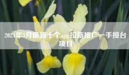 2024年3月最新十个app拉新推广一手接台项目