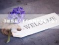 手机恢复（手机恢复免费版下载）
