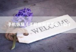 手机恢复（手机恢复免费版下载）