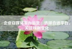 企业自媒体平台运营：选择合适平台，关注规则变化