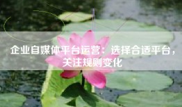 企业自媒体平台运营：选择合适平台，关注规则变化